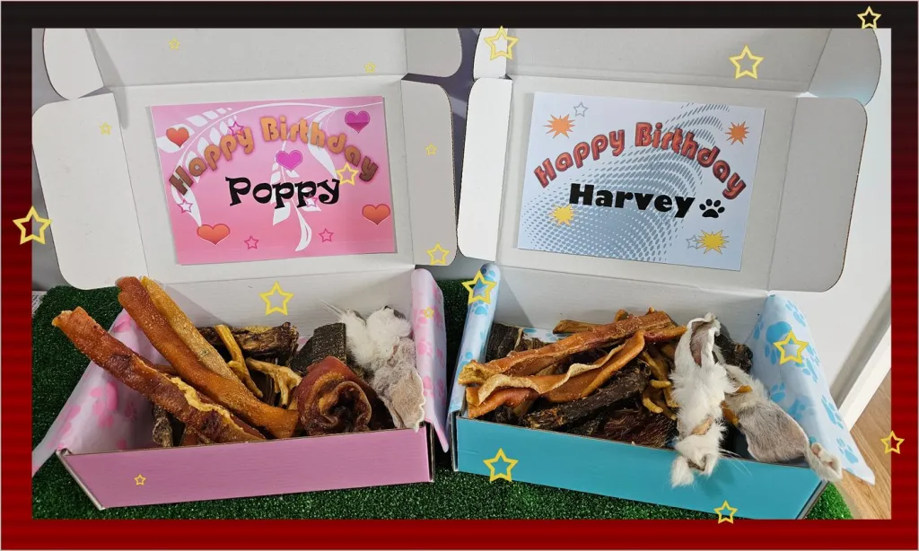 Two Special Occasion Boxes filled with treats, with birthday cards