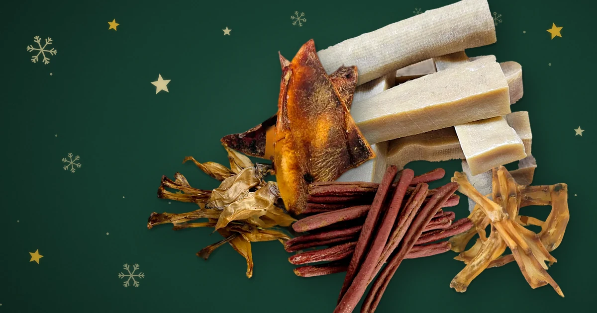 Yak bars, beef moon bone, rabbit ears, salmon sticks and duck feet dog treats on a festive dark green background with stars and snowflakes
