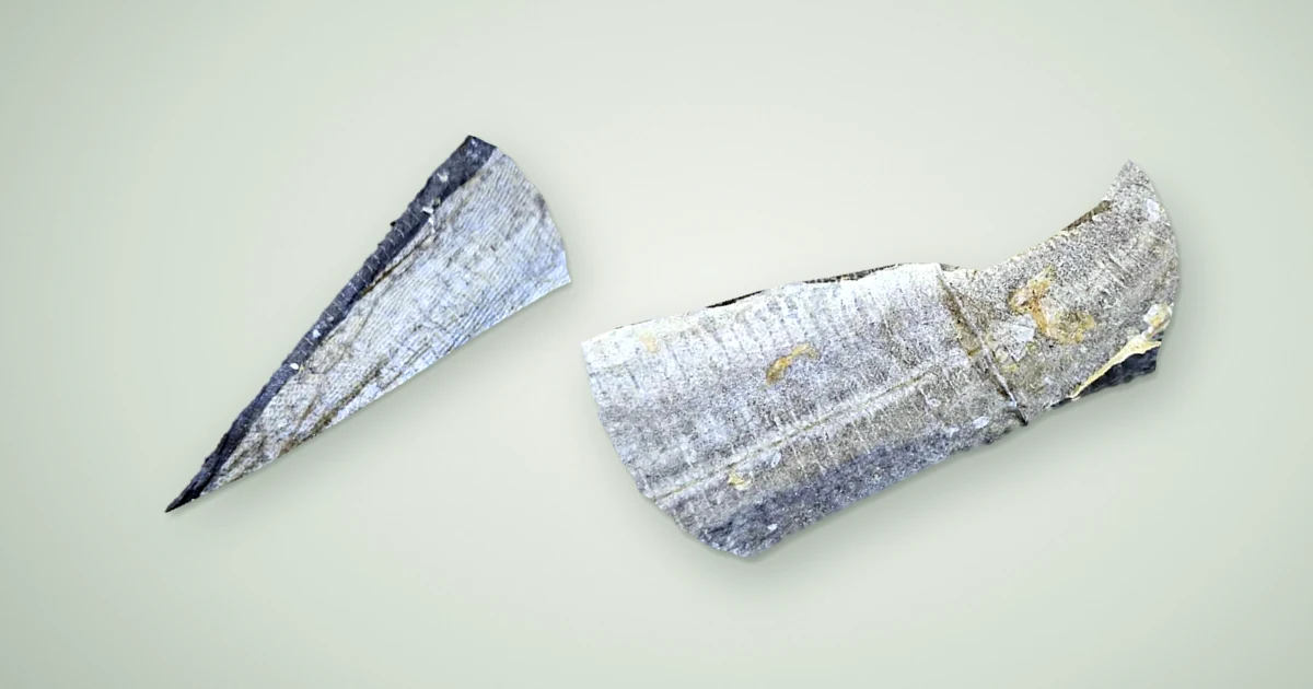 Two dried fish skin flat dog treats on a pale sage green background