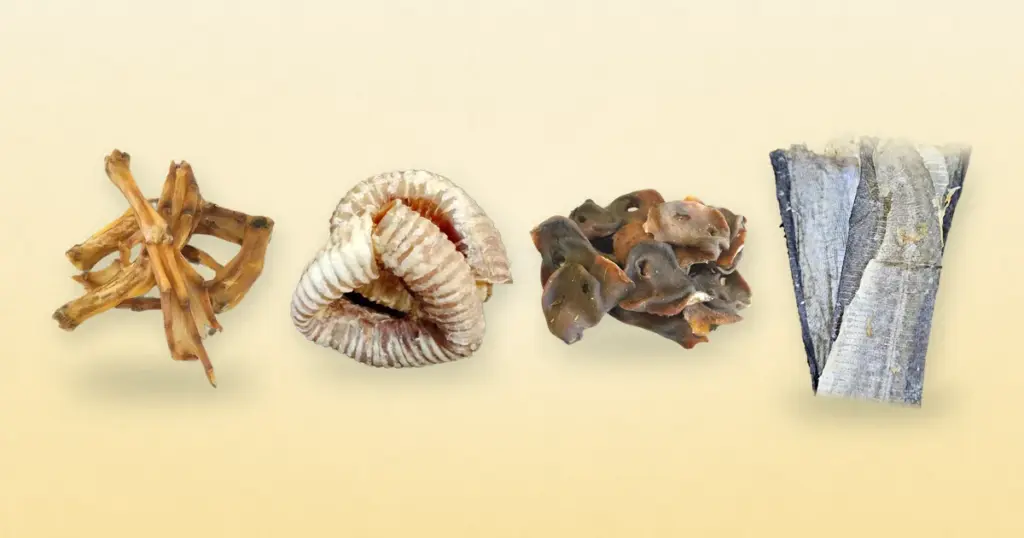 Duck feet, beef trachea, pig snout and fish skin dog treats laid out side by side on a cream background