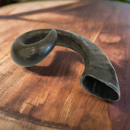 Buffalo Horn Medium