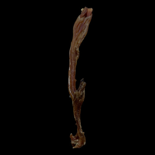 Anco Naturals Beef Tendons